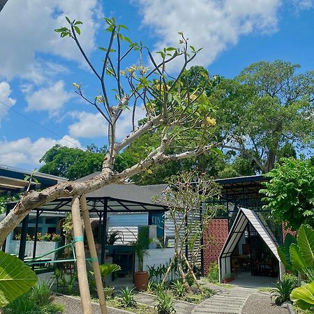 The Jungle Hostel Canggu Εξωτερικό φωτογραφία