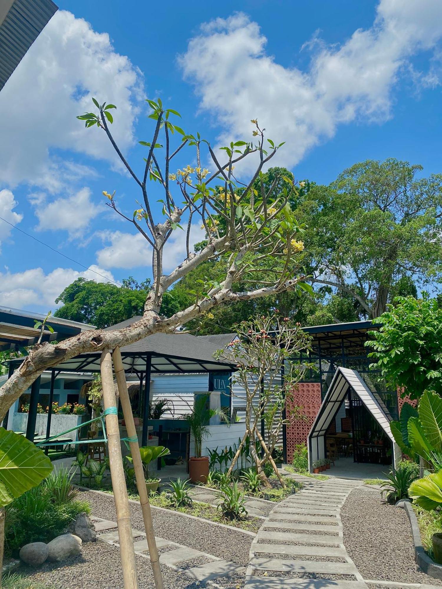 The Jungle Hostel Canggu Εξωτερικό φωτογραφία