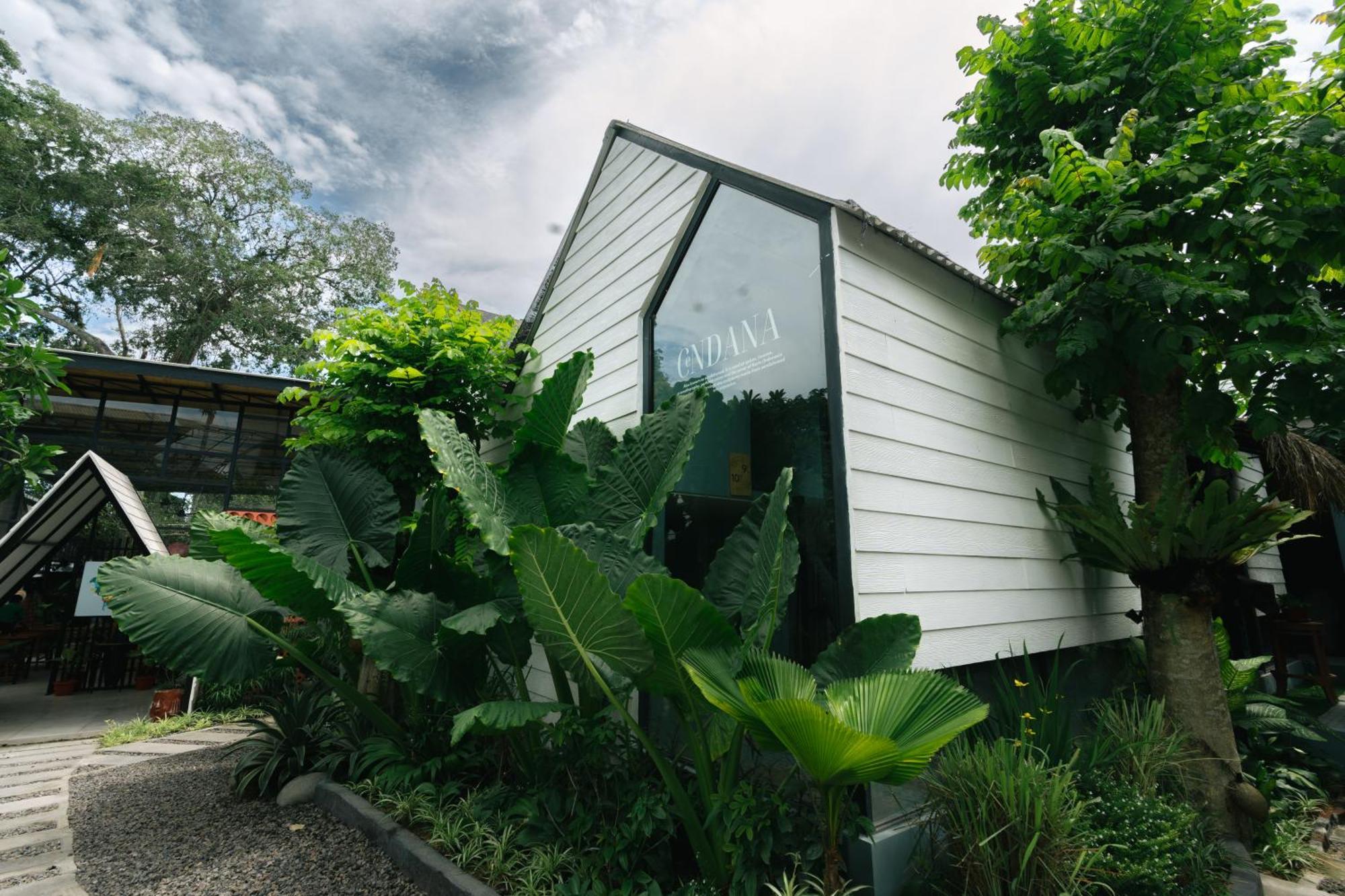 The Jungle Hostel Canggu Εξωτερικό φωτογραφία