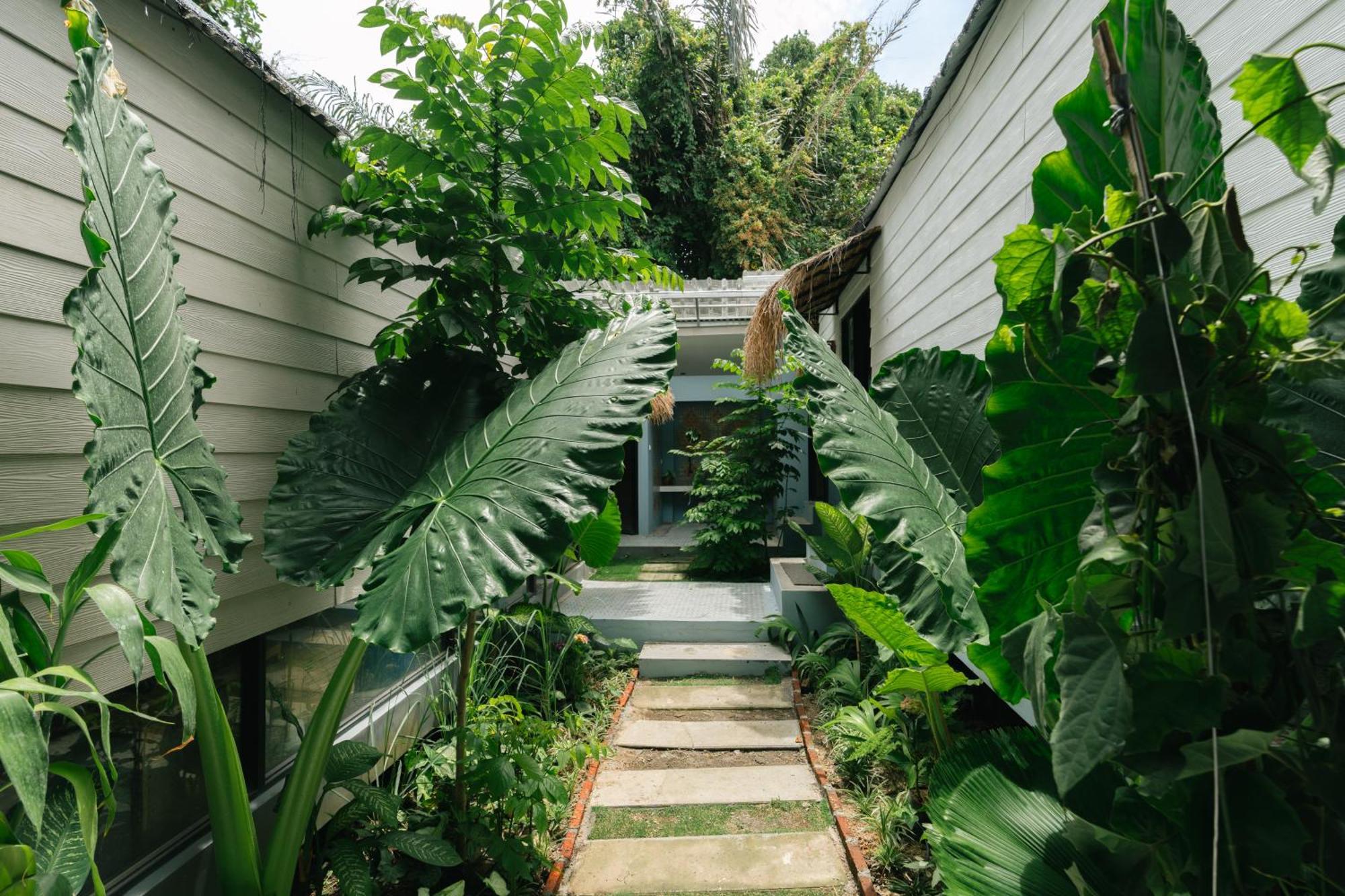 The Jungle Hostel Canggu Εξωτερικό φωτογραφία