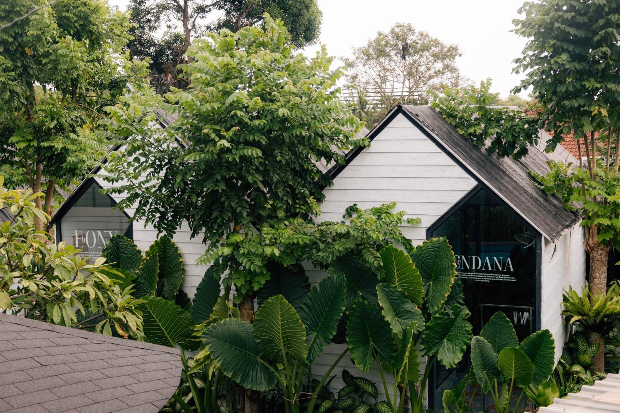 The Jungle Hostel Canggu Εξωτερικό φωτογραφία