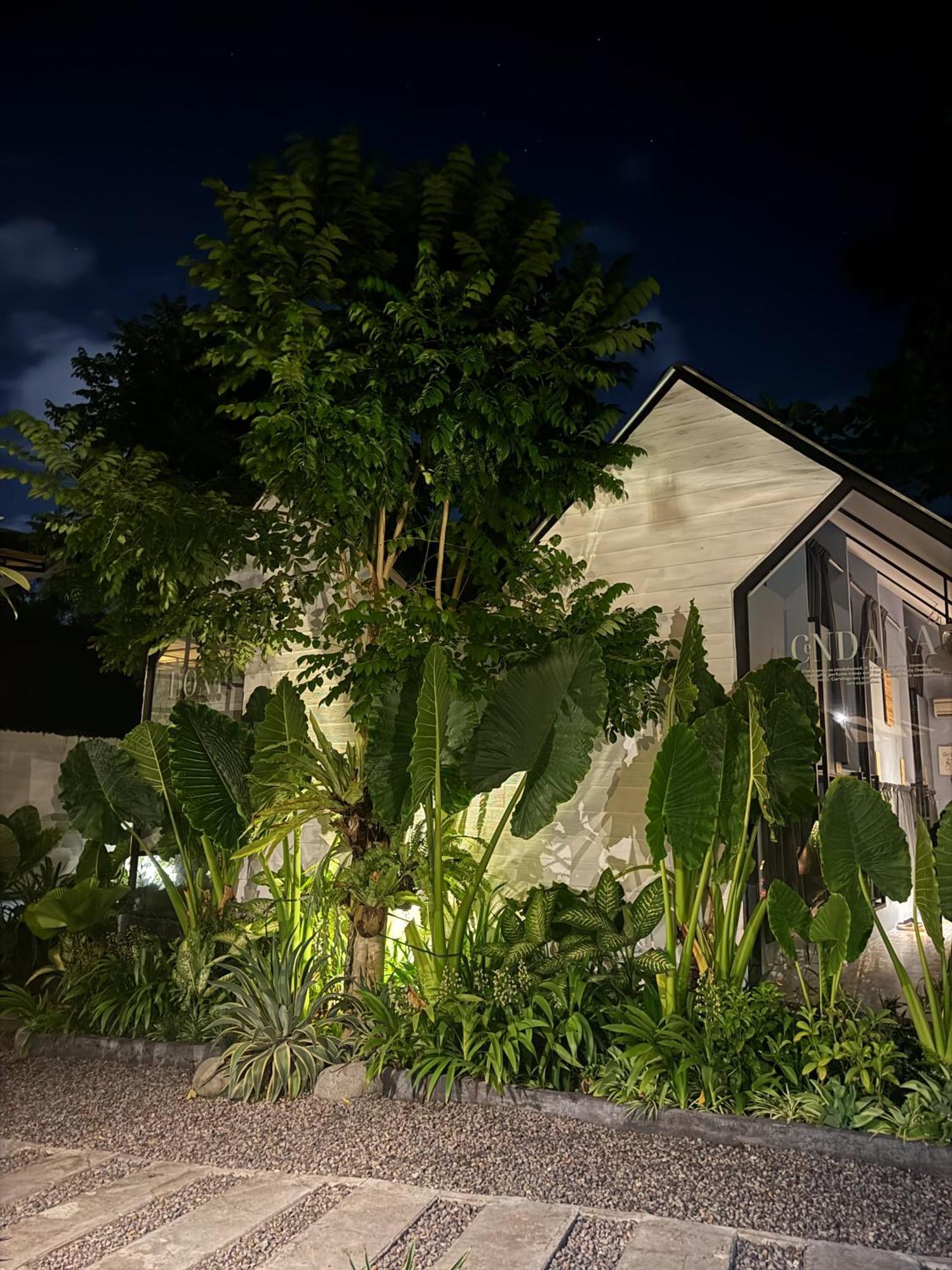 The Jungle Hostel Canggu Εξωτερικό φωτογραφία